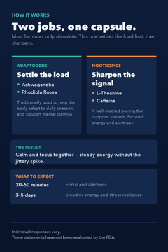How Neuro Spark Ignite works: adaptogens ashwagandha and rhodiola help the body adapt to daily stressors, while nootropics L-theanine and caffeine support focused energy.